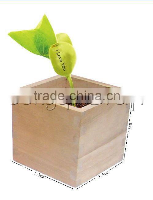 High Quality wood craft cheap creative box magic bean with words