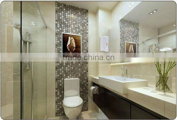 2013 Hotel used ABS plastic liquid fancy Single head soap dispenser (DS1524)