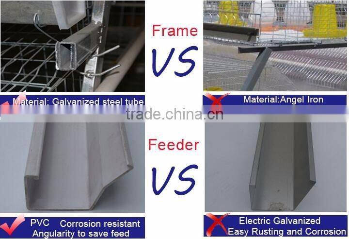 popular selling layer cage chicken cage layer cages for sale