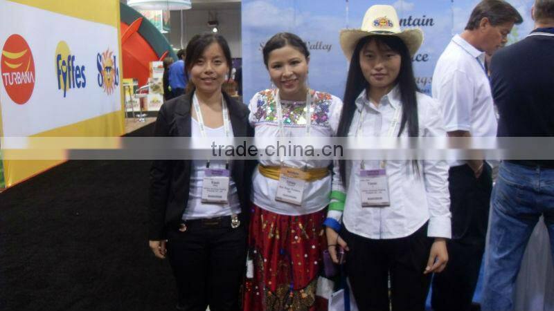 Pitaya Elastic foam sock