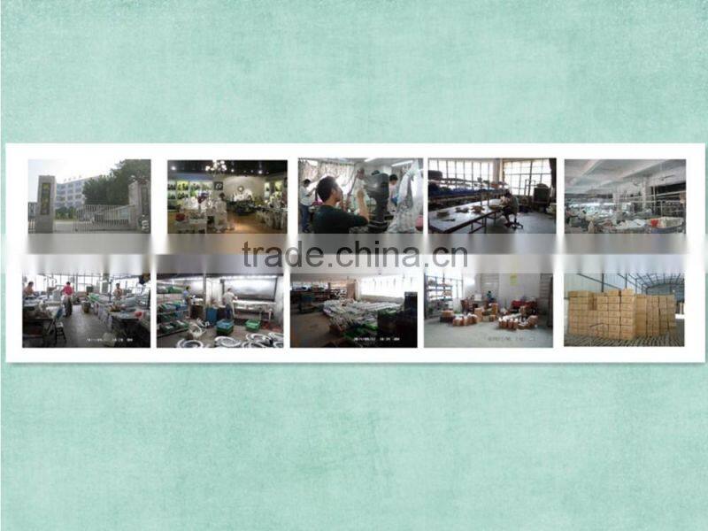 Curly Horn goat bust Skull wall hanging