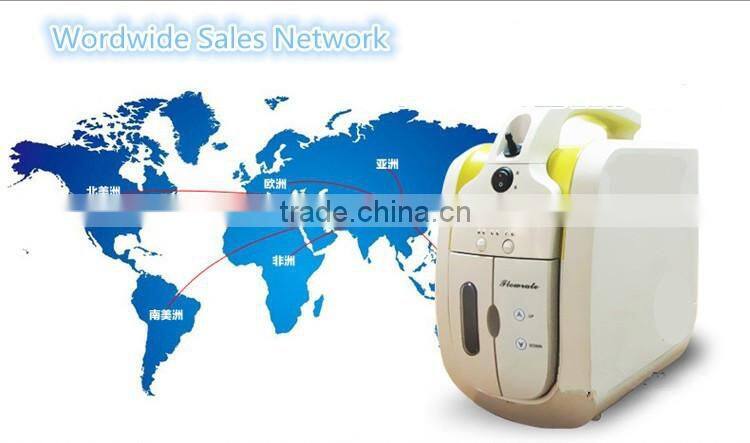 Small portable electric oxygen concentrator with battery