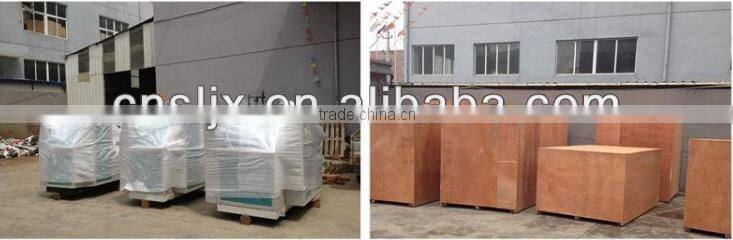 CE Standard, High Quality Automatic Paper Plate Making Machine