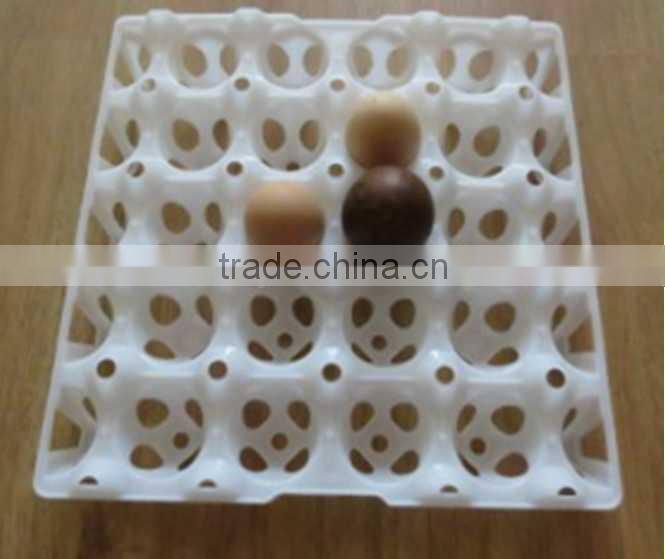Big capacity egg carton box / plastic egg tray