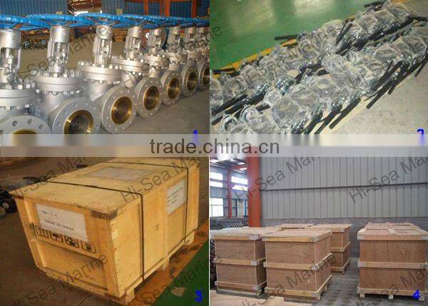 Stainless Steel Butt Welded 3pc Ball Valve