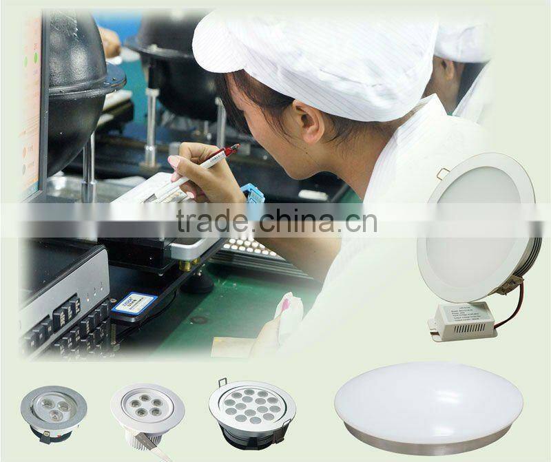 TUV CE RoHS IEC Approved 55W P10 Red LED Panel