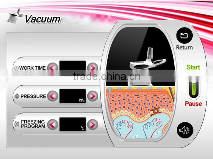 TSL-1101C lingmei popular criolipolise freezing fat equipment for body slimming