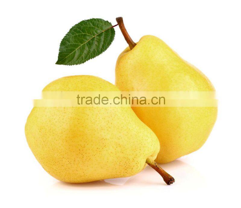 High Quality Fresh Canned Pear in Syrup