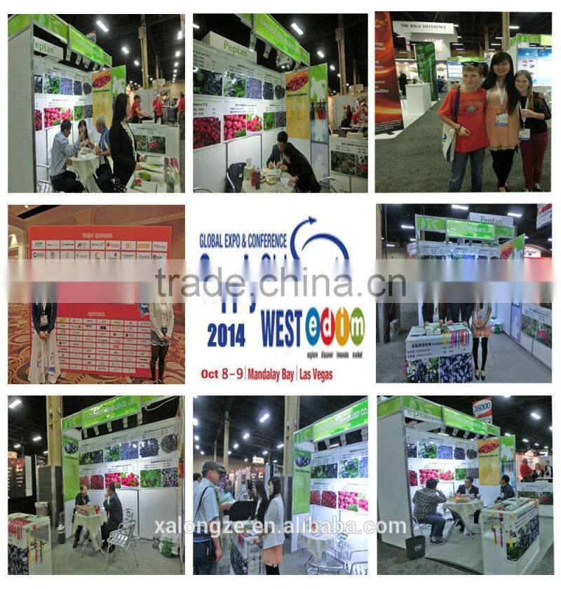 free sample tribulus terrestris extract 10:1