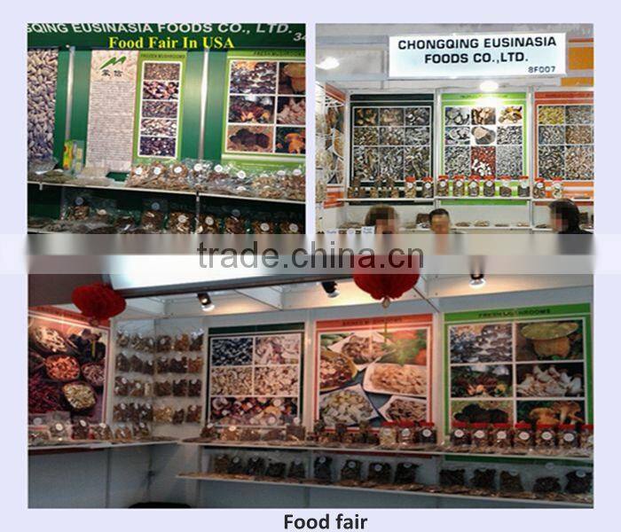 Dried oyster mushroom/pleurotus ostreatus with competitive price