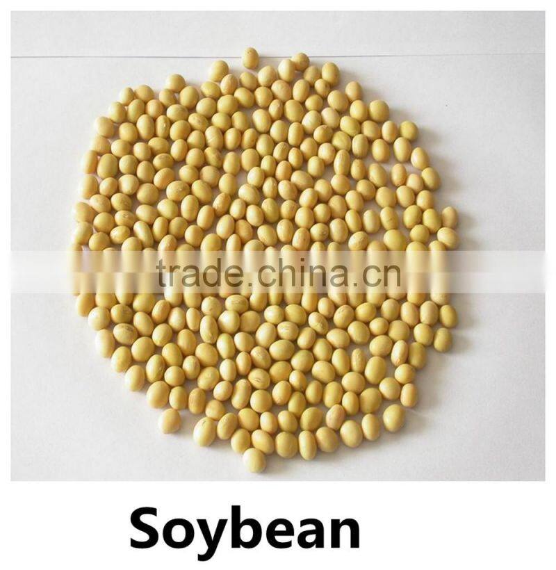 JSX vietnam yellow mung beans big and small size China moong dal