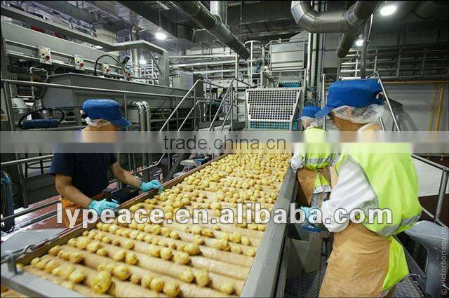 5x5mm aloe vera cubes