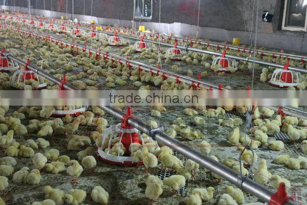 pan feeder for broiler