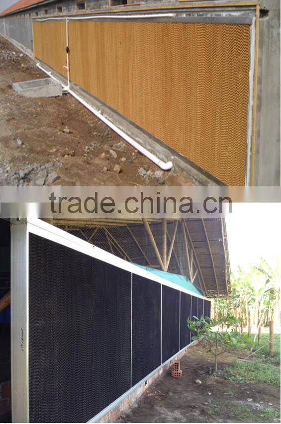 cheap price high quality turnkey poultry farm in africa