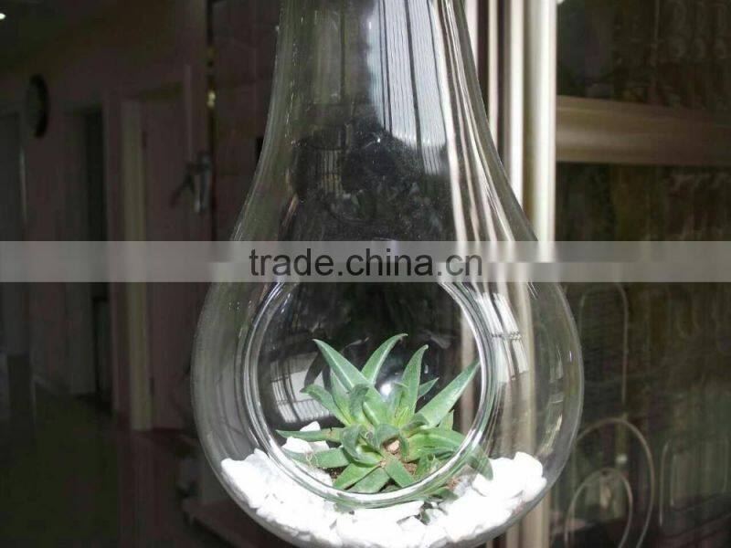 wholesale clear pear shape glass Vase Landscape bottle hanging