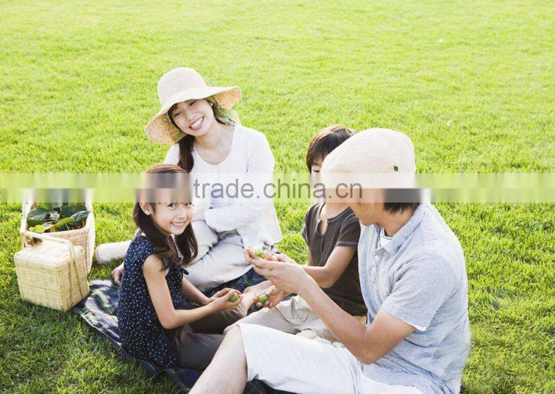 Hot sales organic sawdust charcoal