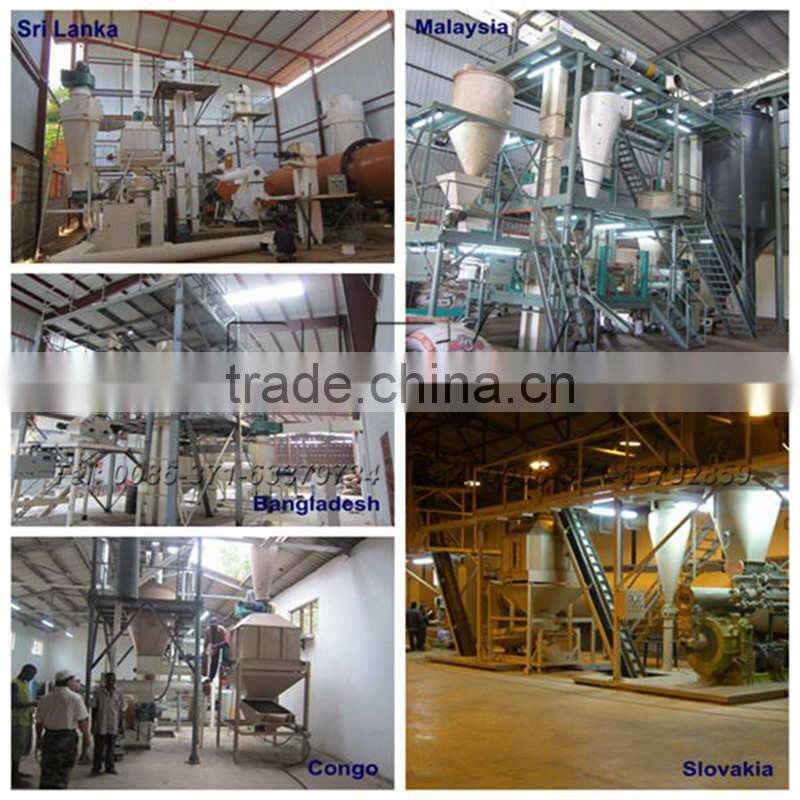 CE Approved Turn-key Biomass Pellet Plant / Wood Pellet Mill Supplier Henan Richi Machinery