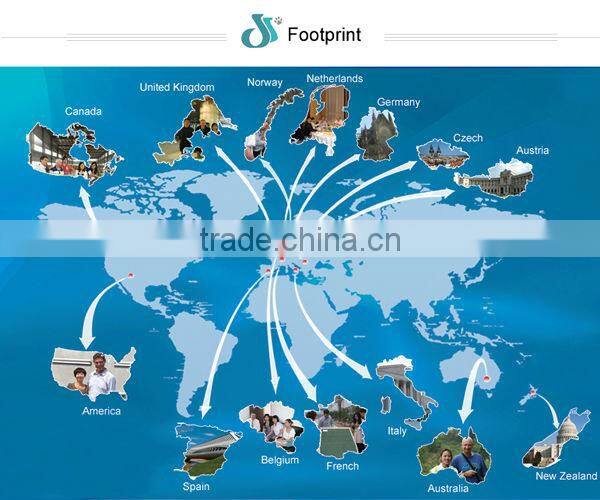 DFPets DFI003 Durable egg incubation and hatchery machine