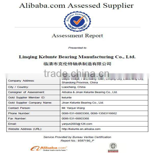 Roller Shutter Bearing Ball Bearing 6010 2Z/C3 Bearing