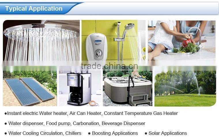 Brushless Small Electric instant water heater pump