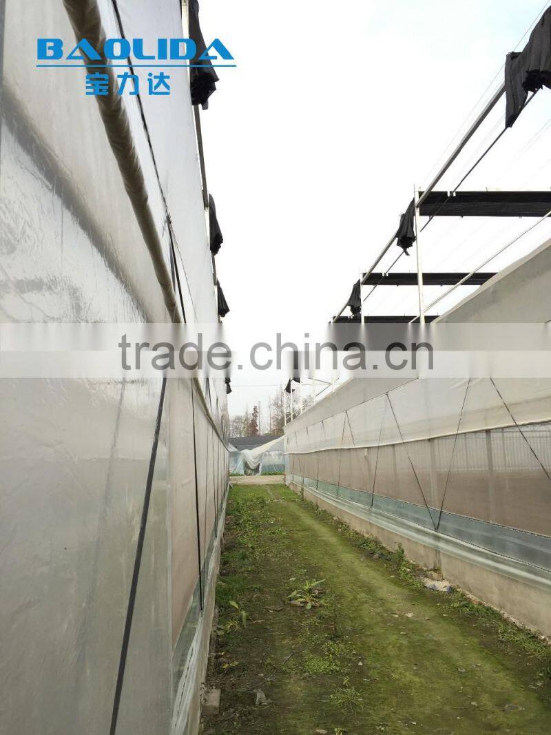 BLD Large Multi-span PE Greenhouse for fruits