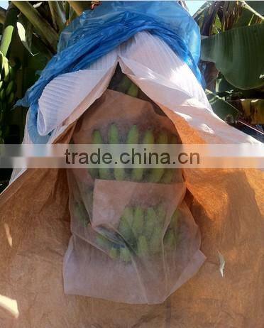 nonwoven fruit cooler bag