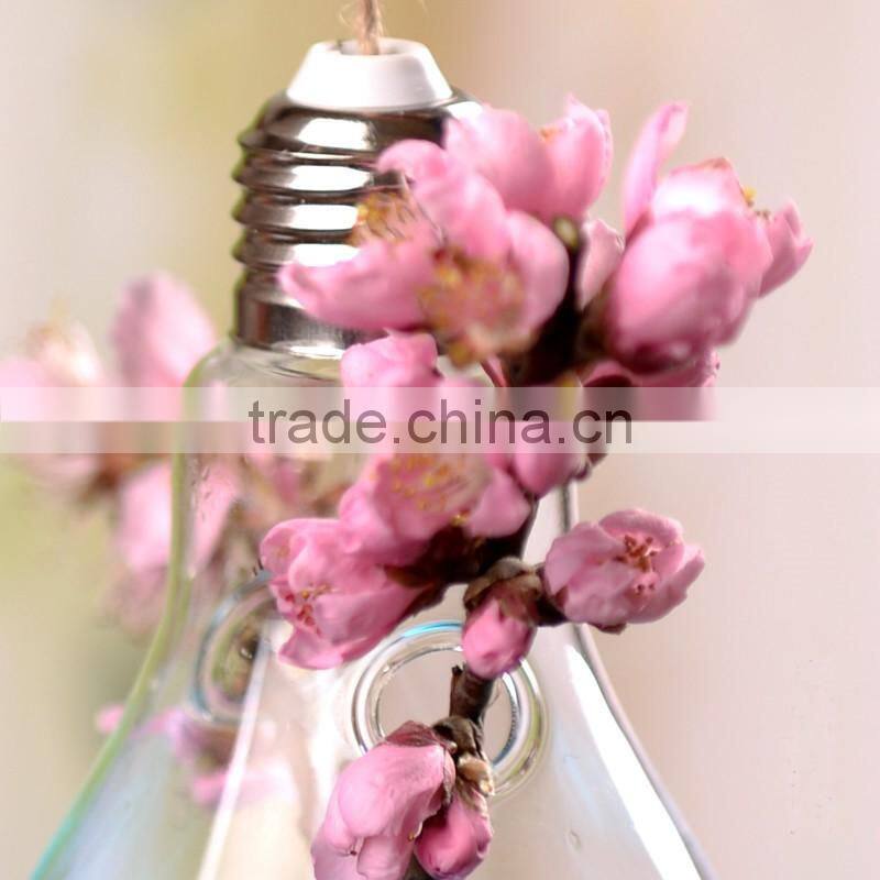 Creative indoor decoration bulb shaped hanging clear glass vase