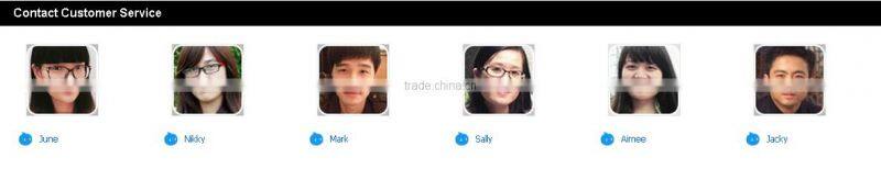 Custom tansparent greenhouse tent