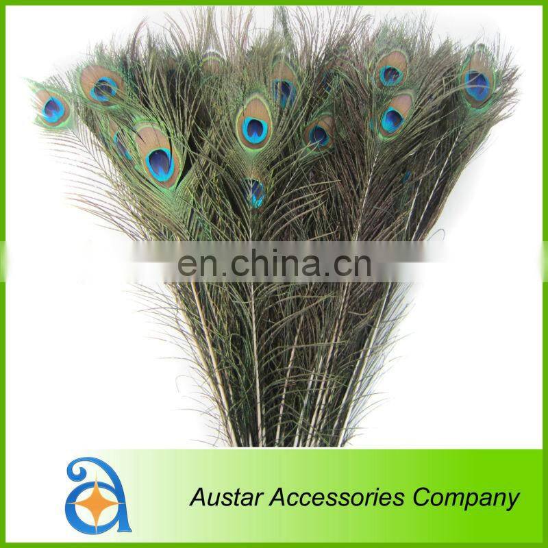 High Quality Peacock Feather Pieces FOR Decorative