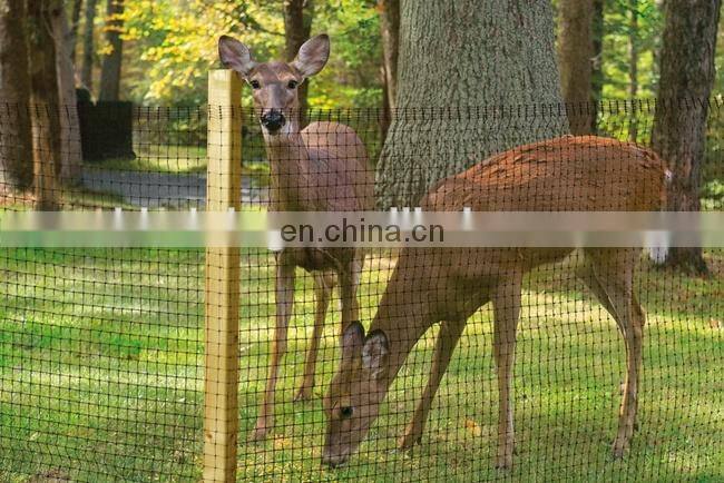 Deer Fence/Plastic Deer Net/high quality deer fence