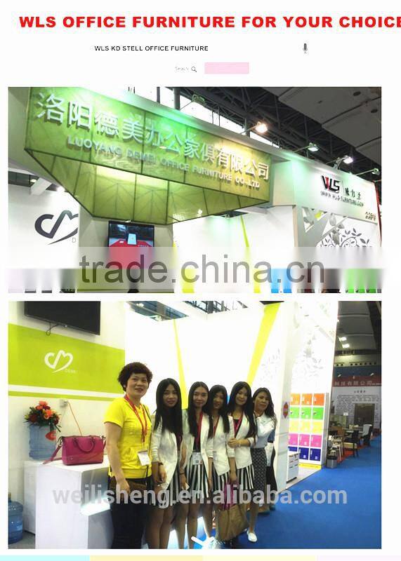 Luoyang Single door Steel Locker Knock Down Metal Cabinet