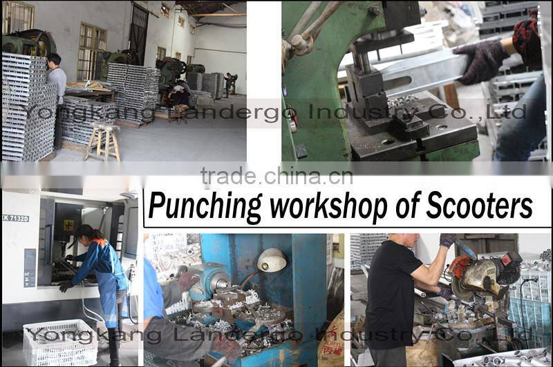 Extreme Foot Scooter EN14619 for professional sports