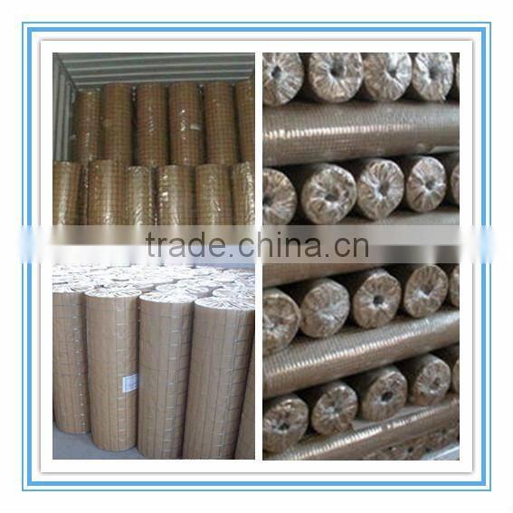 PVC Coated or Galvanized Welded Wire Mesh
