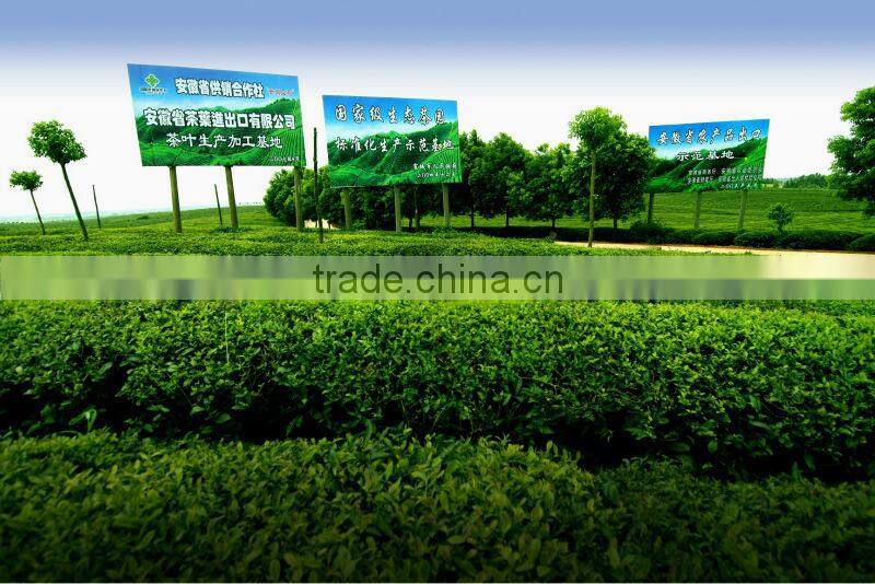 Green tea Matcha Style Lucky Bird tea new BIO Japan