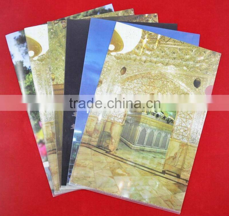 Clear made of eco-friendly PP plastic A4 file cover