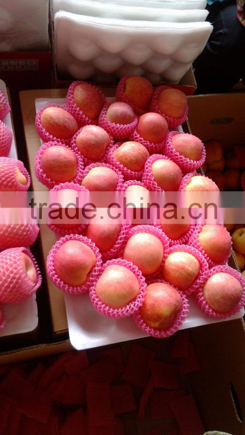 apple planter chinese apple fuji apple carton 20kg