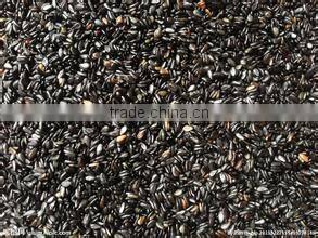 chestnut roaster with high quality 008615638185395