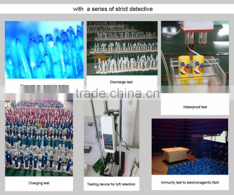 Top grade oral electric toothbrush head B