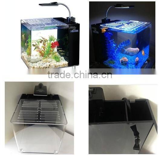 Custom mini desk fish tank, acrylic mini fish tank, plexiglass aquarium
