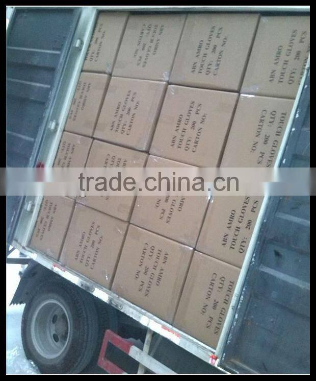 China Factory Custom Lady Various Leather Fur Gloves, Fur Lined Leather Gloves And Mitten