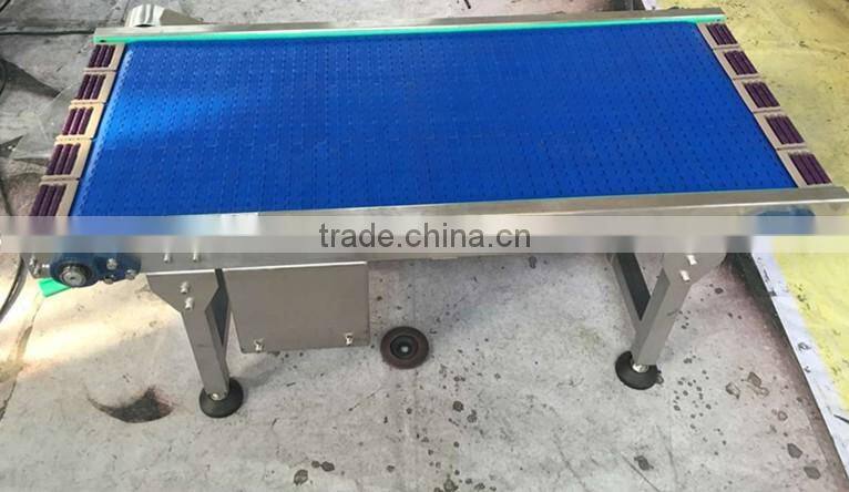 Factory customized plastic modular belt conveyor
