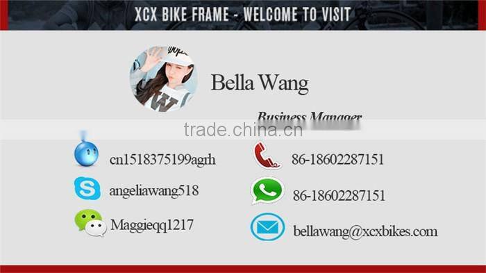 Photo Picture Chromoly 4130 Fixie Painting Bike Frame