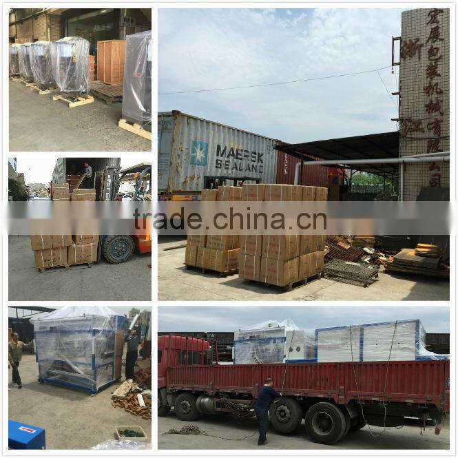 DBF-1000G continuous sealing machine with gas