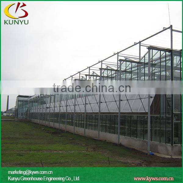 Venlo roof type greenhouse supply backyard greenhouse