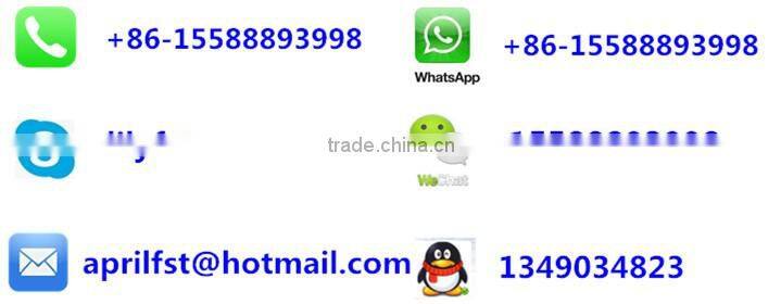 Automatic bird feeder