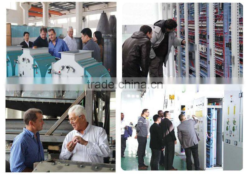 professional manufacturer animal feed mixing machine