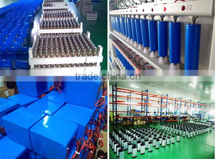 Wholesale good price 36V 8AH ebike lithium battery with charger