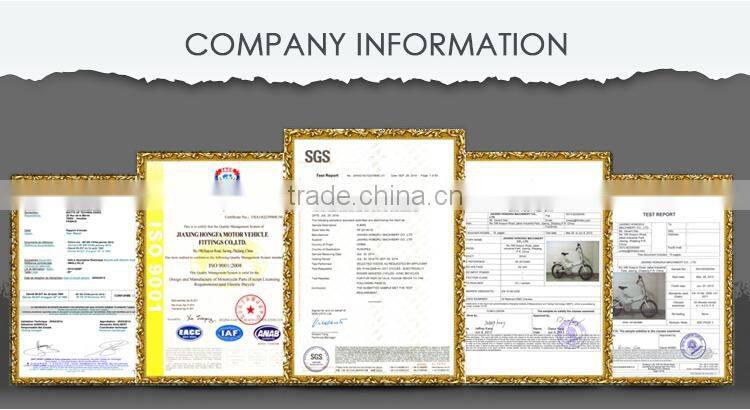 ONWAY Electric Bike Digital LED Display