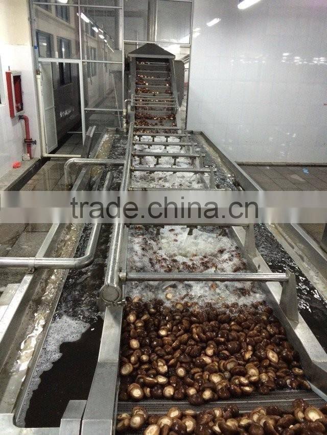 Price for Frozen Shiitake Mushroom Whole