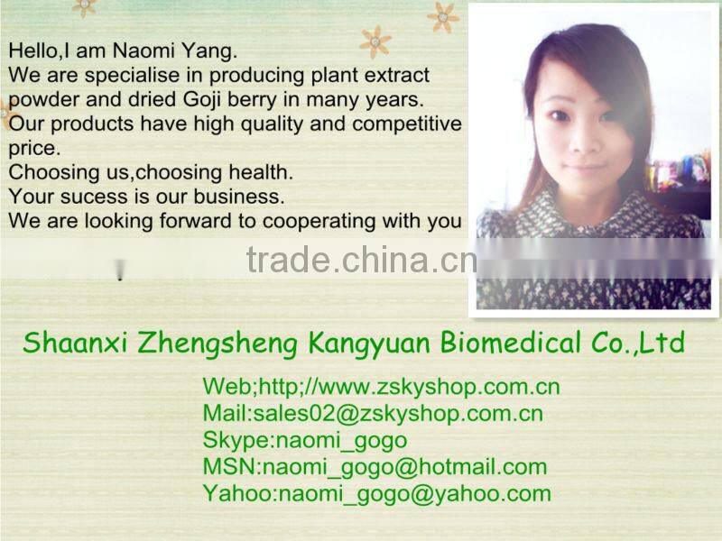 GMP Certified Manufacturer Supply Natural Moringa Powder